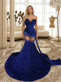 TH2412097 Roy Blue